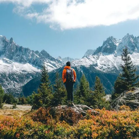 公寓 Balme 5 - Mont Blanc