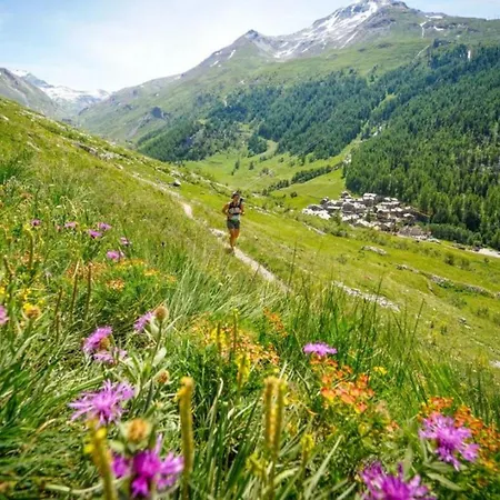 Balme 5 - Mont Blanc Апартаменты *